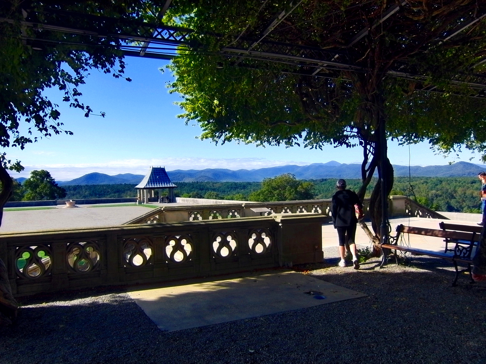 CIMG5316 Frame & Fiber