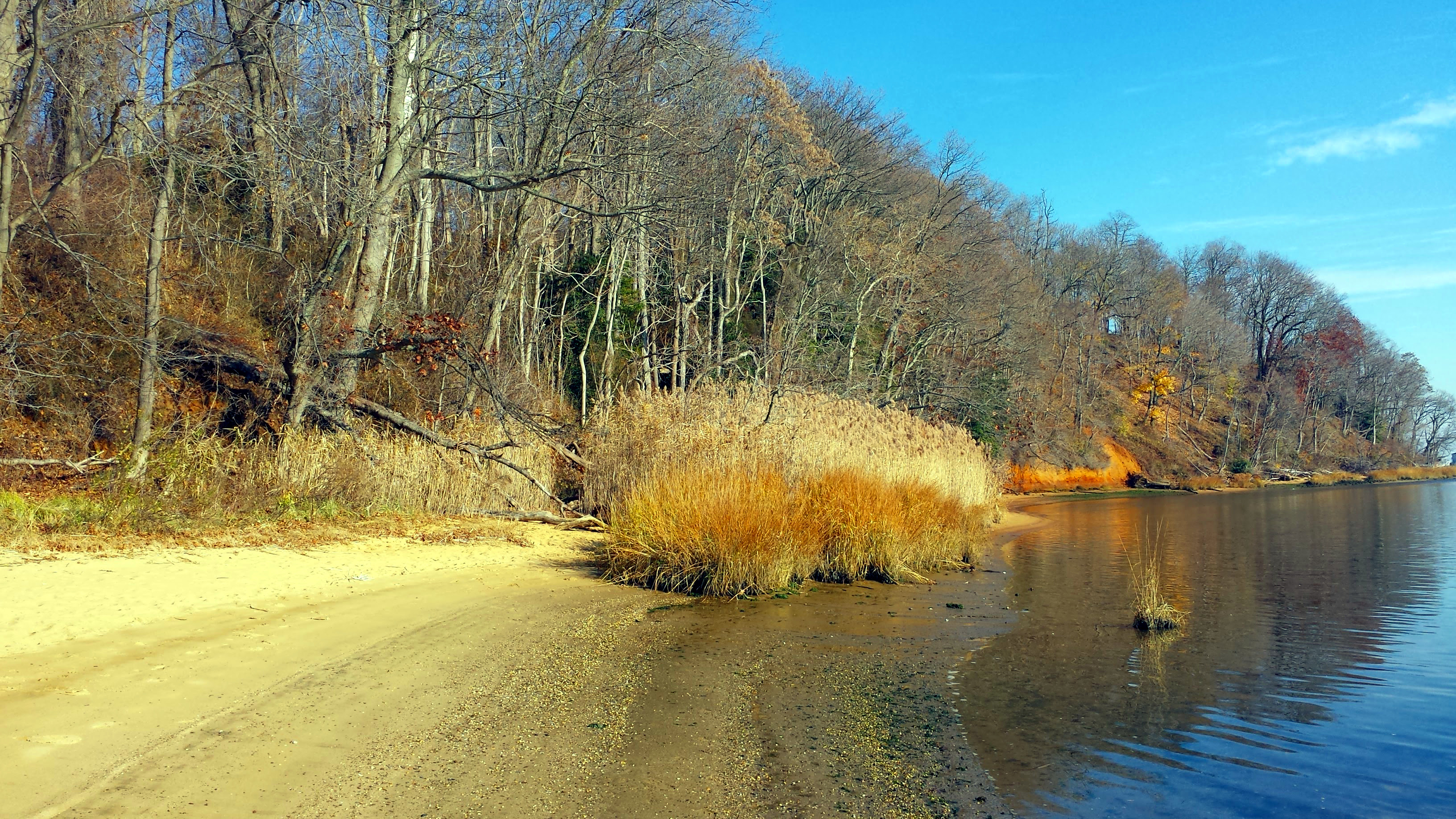 20151207_131249 Frame & Fiber