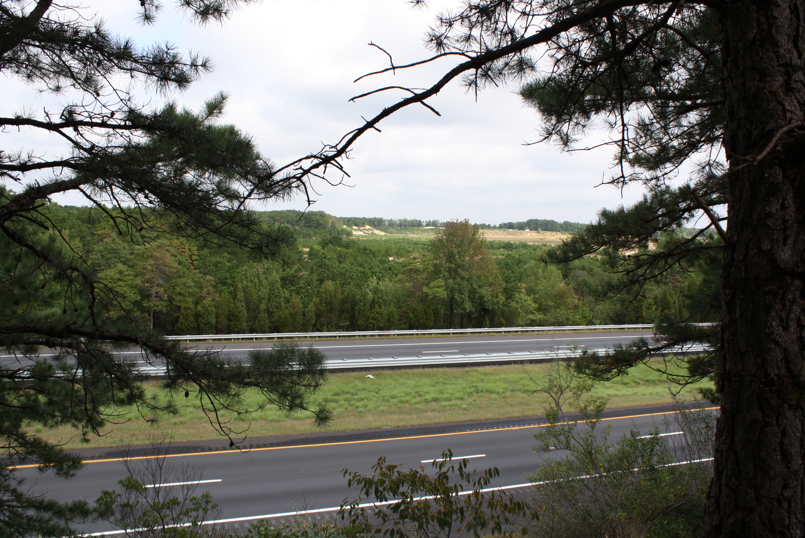 img_0609 Frame & Fiber